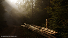 Landschaft_landscape1